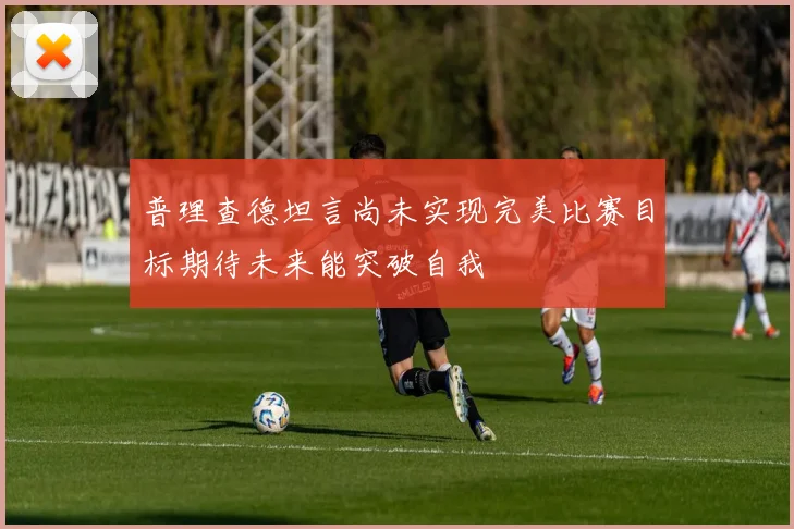 普理查德坦言尚未实现完美比赛目标期待未来能突破自我