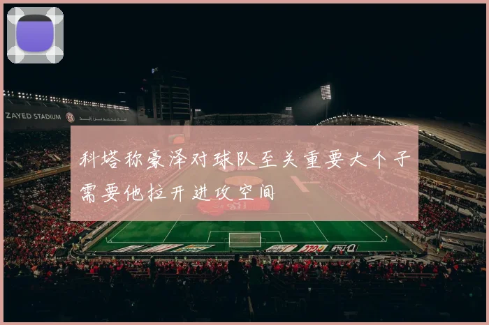 科塔称豪泽对球队至关重要大个子需要他拉开进攻空间