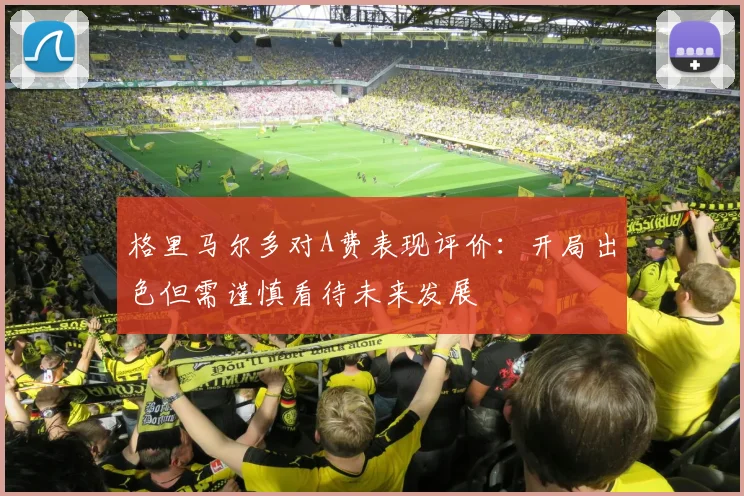 格里马尔多对A费表现评价：开局出色但需谨慎看待未来发展