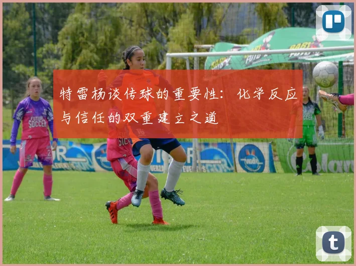 特雷杨谈传球的重要性:化学反应与信任的双重建立之道