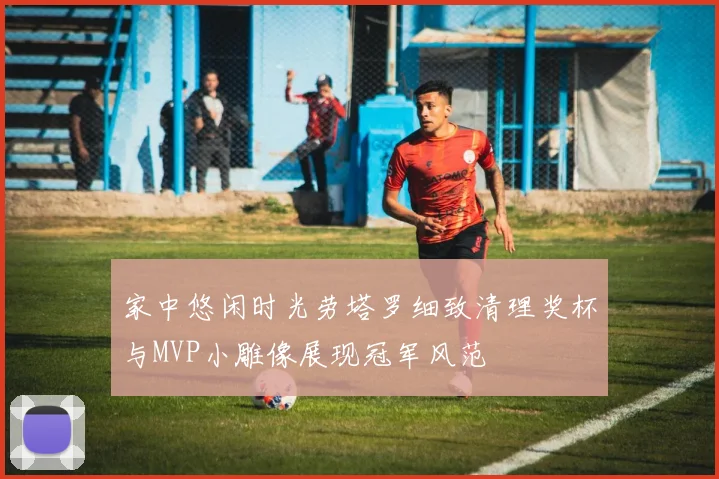 家中悠闲时光劳塔罗细致清理奖杯与MVP小雕像展现冠军风范