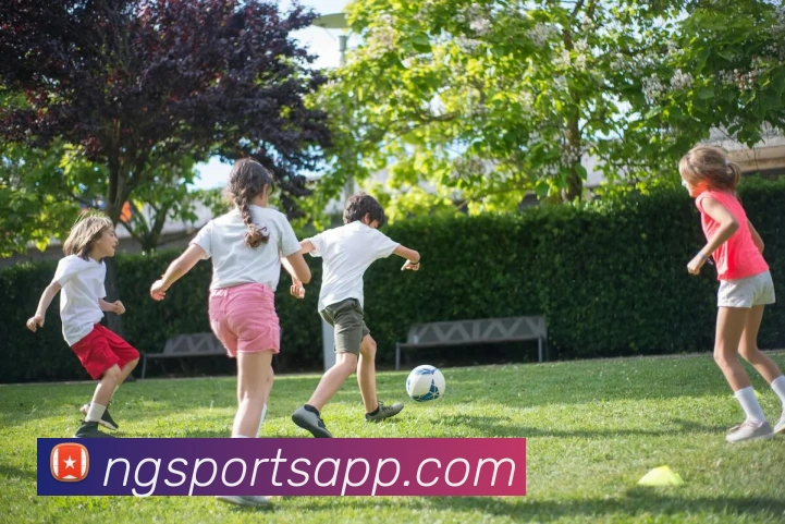 南宫体育APP 封面图