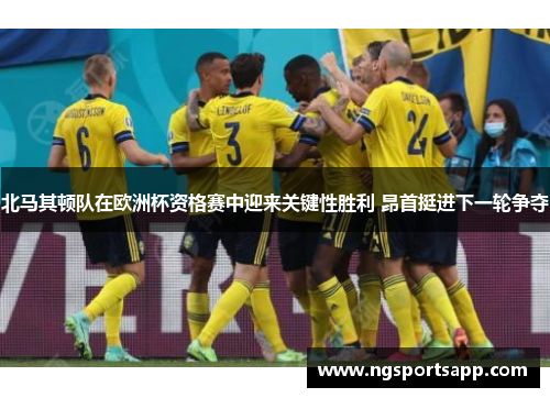 北马其顿队在欧洲杯资格赛中迎来关键性胜利 昂首挺进下一轮争夺