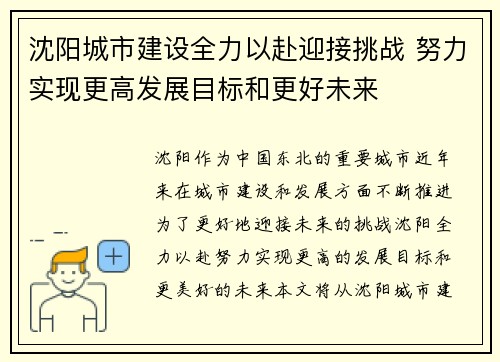 沈阳城市建设全力以赴迎接挑战 努力实现更高发展目标和更好未来