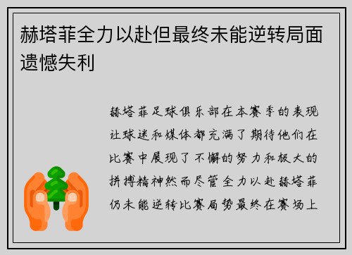 赫塔菲全力以赴但最终未能逆转局面遗憾失利